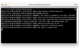 JuiceFS screenshot 1