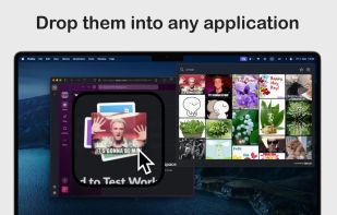 QuickGif screenshot 1