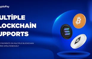 CryptoPay - Crypto Payment Gateway screenshot 1