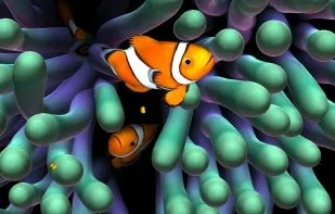 Sim Aquarium screenshot 1