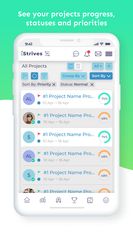 iStrives Mobile App: Project Management