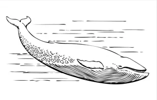 Thousands of factoids.