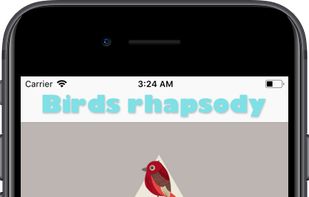 Birds rhapsody CreativeBot screenshot 1
