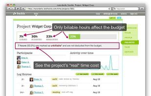 Project overview with time budget breakdown, activity graph, recent entries, etc.