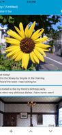 colocolomemo screenshot 2