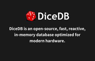 DiceDB screenshot 1