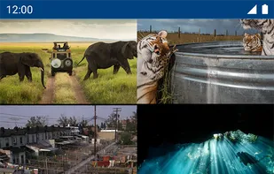 National Geographic for Muzei screenshot 1