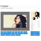 Cropper (jQuery) icon