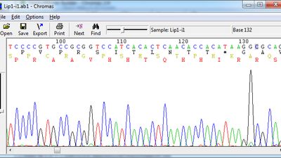 bioedit software for mac