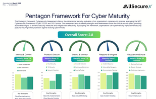 Cyber Maturity Report