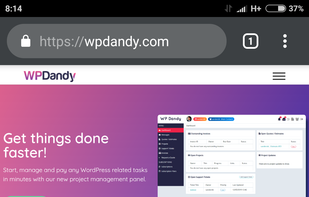 WPDandy.com screenshot 1