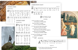 Illuminare screenshot 1