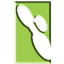 Insight Developer for Oracle