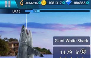 Fishing Championship screenshot 1