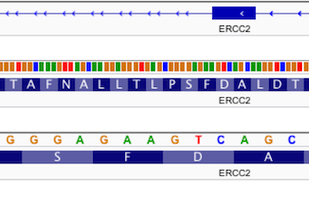 Integrative Genomics Viewer (IGV) screenshot 2