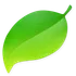Coda icon