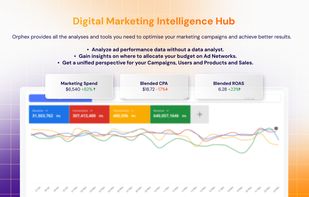 Executive Dashboard