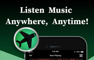 Offline Music Player screenshot 1