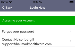 Heisenberg II screenshot 1