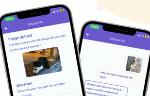 Petvise AI screenshot 2