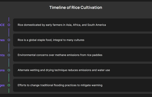 Timeline auto-generated from a Youtube link