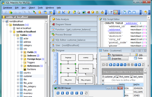 Classic MDI Interface
