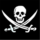 PirateBrowser icon