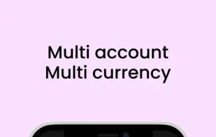 Flow Expense Tracker screenshot 2