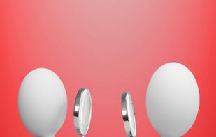 How Peoples Follow You?