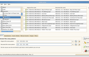 pyRenamer screenshot 1
