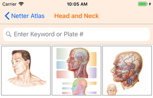 Netter's Anatomy Atlas 7e screenshot 1