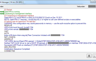 detail window, displays the connection log