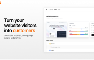 PageAudit screenshot 1