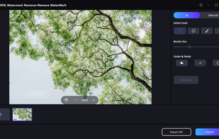 FliFlik Watermark Remover screenshot 2