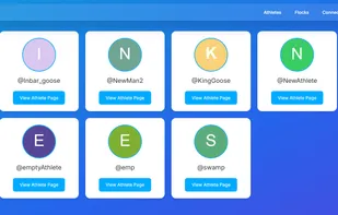 GooseNet screenshot 1