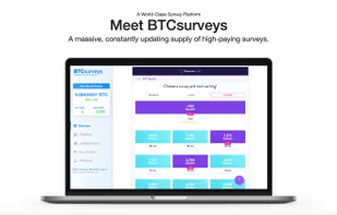 BTCsurveys screenshot 2