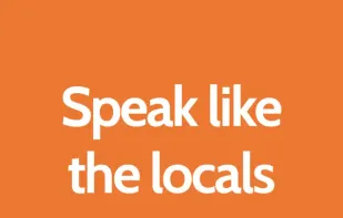 LingoLooper screenshot 1