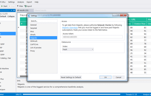 Netpeak Checker screenshot 1
