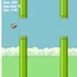 FlappyLearning icon
