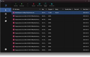 Brisk Download Manager screenshot 2