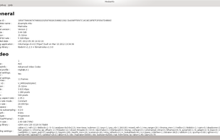 MediaInfo screenshot 1