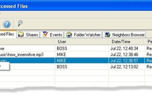 On this tab you can see which files/folders are accessed from network and network logged-on users permissions.