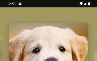 Dog Wallpaper Cute Puppies HD screenshot 3