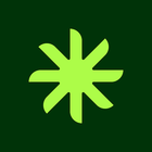 Palm icon