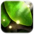 Tap Leaves Live Wallpaper icon