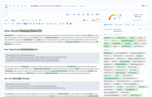 NeuronWriter screenshot 1