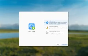 Installation Screen from ISO
