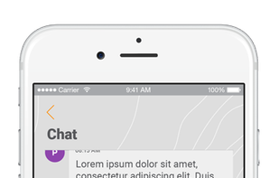 Bitnation screenshot 2