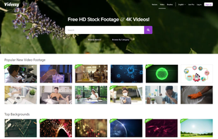 Videezy screenshot 1