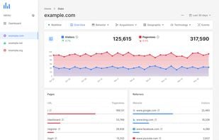BizWhiz Web Analytics screenshot 1
